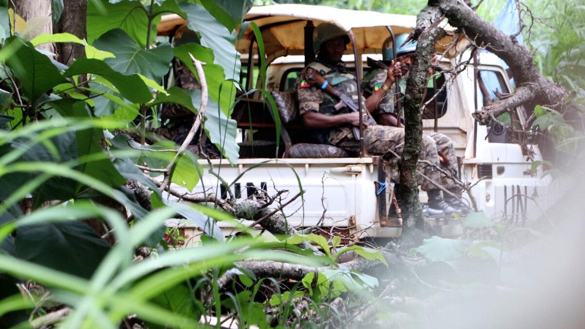 Military personnel in camouflage uniforms seated in the back of an open white truck, partially obscured by dense green foliage.