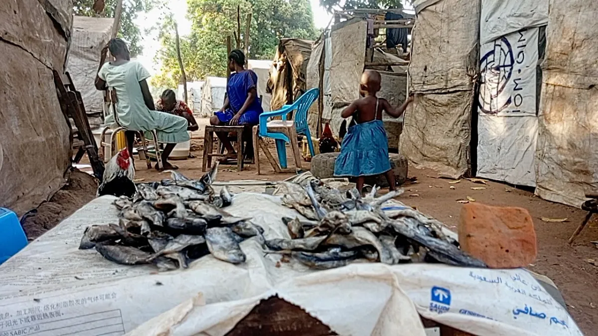 UN Peacekeeping UNMISS South Sudan