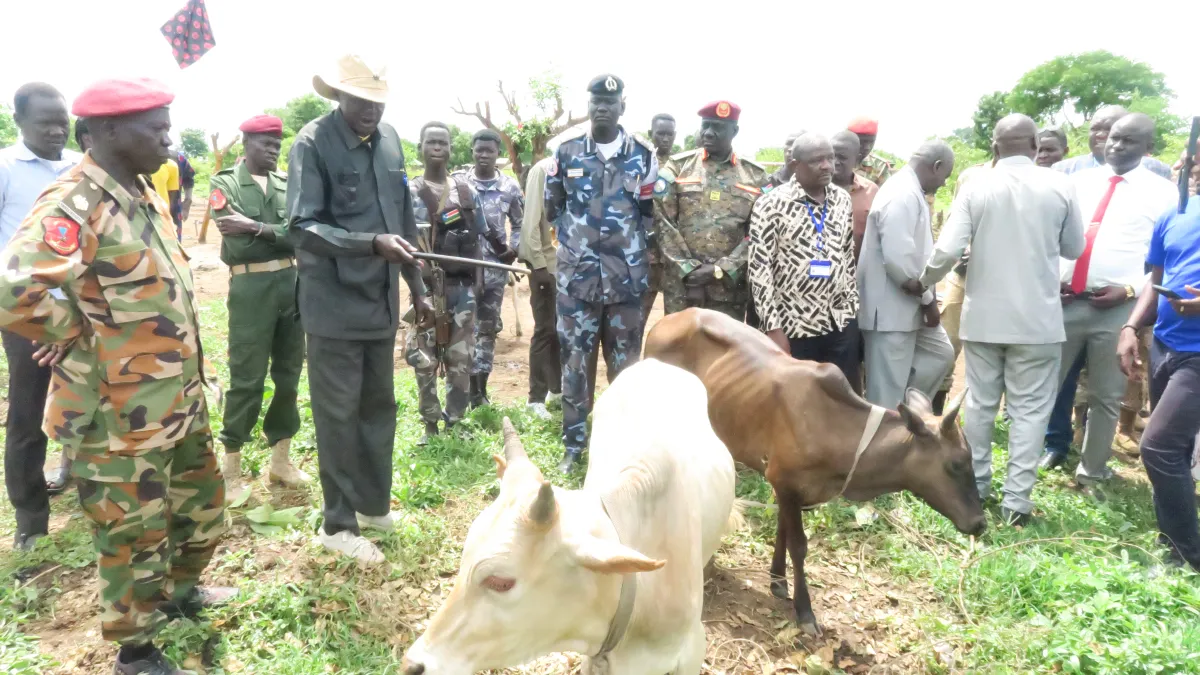 cattle agreement rokon