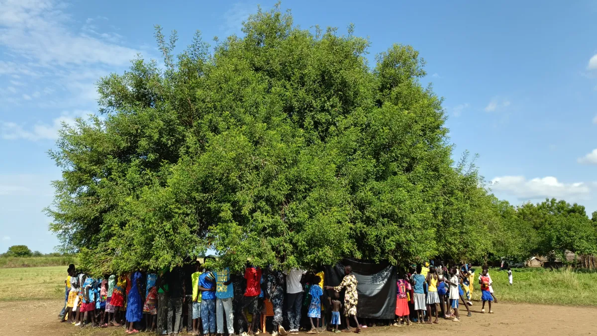 Meeting under tree