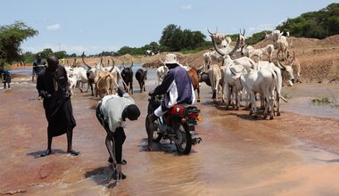 unmiss south sudan lakes state yirol peace climate forum flooding floods cross-border conflict prevention