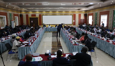Peace South Sudan UNMISS UN peacekeeping peacekeepers elections constitution RJMEC plenary meeting cessation of hostilities