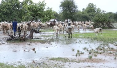 unmiss rup pakam lakes rumbek cattle raiding inter-communal conflicts peace agreement unmiss intervention