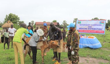Peace South Sudan UNMISS UN peacekeeping peacekeepers development veterinary camp livestock livelihood stability reconciliation income