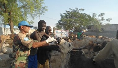 Indian Veterinarians take ‘heal and educate’ campaign to Malakal