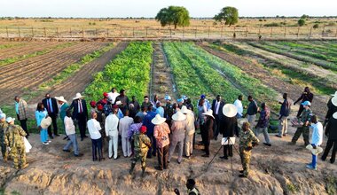 Peace South Sudan UNMISS UN peacekeeping peacekeepers South Korea Rice agriculture traditional modern technologies farming