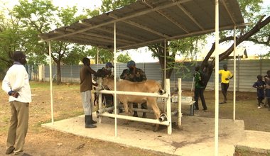 unmiss south sudan malakal indian peacekeepers veterinary camp covid-19 awareness session