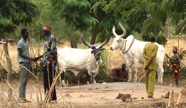 unmiss civil affairs cattle migration tensions pastoralists farmers intercommunal violence agreement conference february 2018