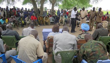 UN and government authorities condemn armed attacks and call for calm in Jonglei