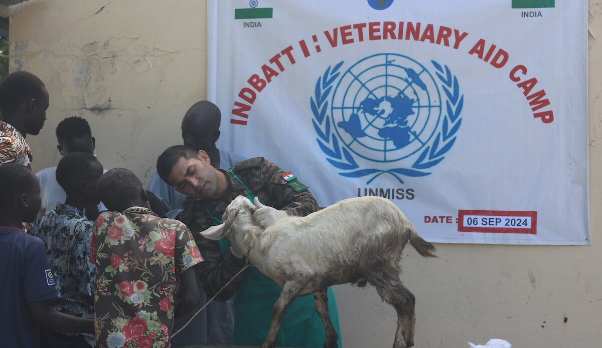 unmiss south sudan upper nile state animal health welfare veterinary camps promoting peace livelihoods