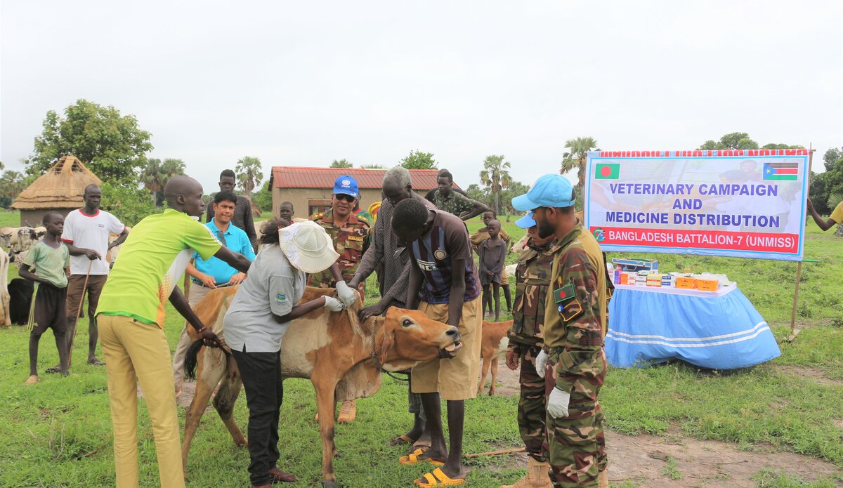 Peace South Sudan UNMISS UN peacekeeping peacekeepers development veterinary camp livestock livelihood stability reconciliation income