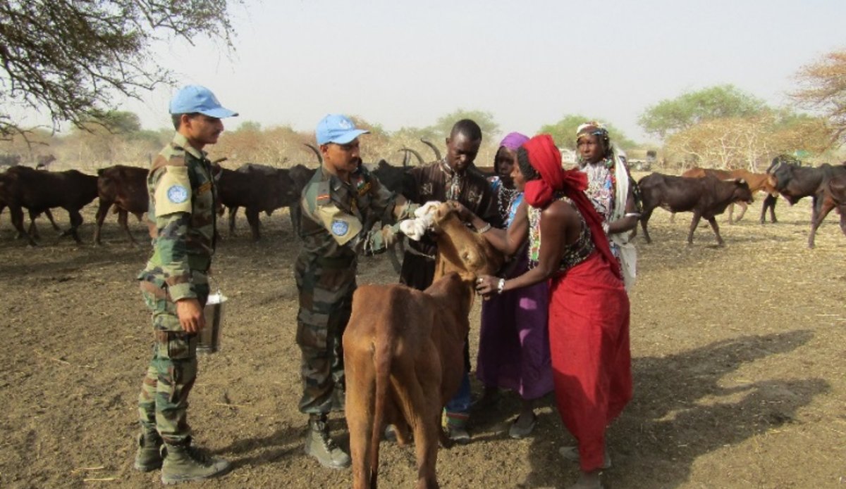 Indian battalion conducts well-attended veterinary camp in Malakal UNMISS South Sudan