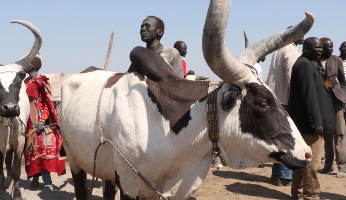 unmiss south sudan lakes intercommunal fighting cattle raiding revenge attacks grazing land water conflict prevention