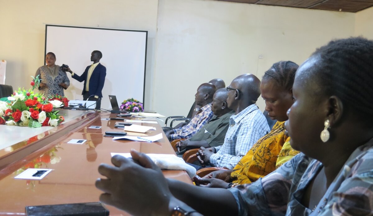 unmiss south sudan eastern equatoria torit taskforce gender-based violence harmful cultural practices accountability support to survivors