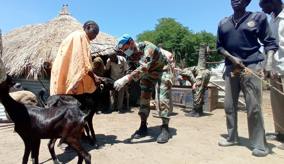 UNMISS protection of civilians veterinary livestock Renk upper nile peacekeeping united nations peacekeepers