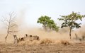 Mine action in progress: A peek behind the scenes as land in a Juba suburb is cleared
