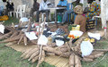 Trade fair uncovers South Sudan’s agricultural potential 