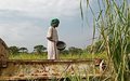 3.9 million people in South Sudan face food insecurity
