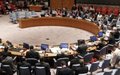 Security Council expresses grave concern about South Sudan