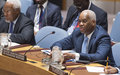UN Security Council urges South Sudan leaders to seize fresh opportunity for peace