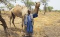 Sudanese nomads and Unity hosts agree on compensation, courts 