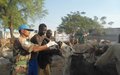 Indian Veterinarians take ‘heal and educate’ campaign to Malakal