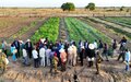 South Korean peacekeepers help transform the agricultural sector to combat food insecurity in Jonglei