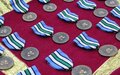 UNPOL officers serving with UNMISS receive prestigious United Nations medal for their service