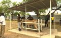 UN peacekeepers in Malakal combine veterinary camp with COVID-19 awareness session