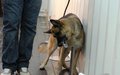 Dog training and mine coordination centre opens in Juba
