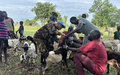 Veterinary Campaign Provides a Lifeline for Farmers in Tonj 