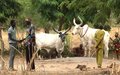 UNMISS supports pre-migration conference to reduce tensions between farmers and cattle owners